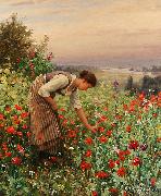 Daniel Ridgeway Knight Girl Picking Poppies oil painting picture wholesale